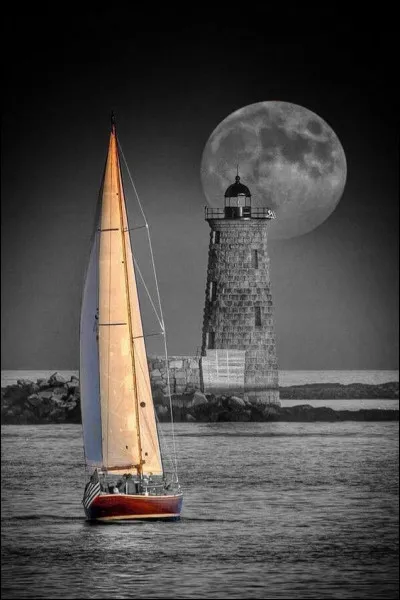 À quelle époque est donné le départ de cette course en solitaire, tous les 4 ans ?