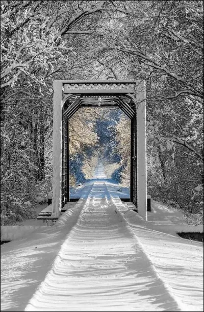 Qui chantait "Tués par des rêves chimériques, écrasés de certitude, dans un monde glacé de solitude", paroles extraites de la comédie musicale "Hair" ?