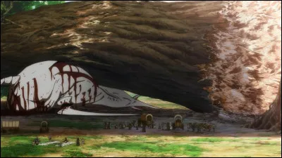 Comment se nomme l'arbre g&eacute;ant ?