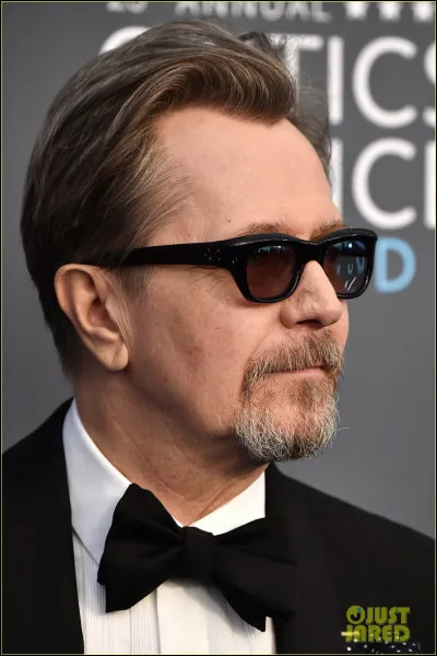 Quel acteur a incarné Sirius Black adulte dans les films ?