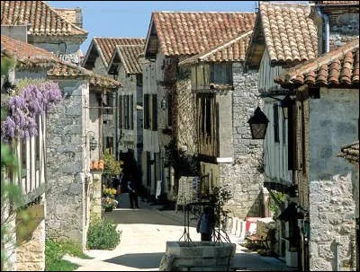 Dans le Lot-et-Garonne ce village est établi sur un éperon entre les vallées du Lot et de la Masse. Des vestiges des enceintes et du château, des maisons blanches ou à colombages, deux églises, c'est...