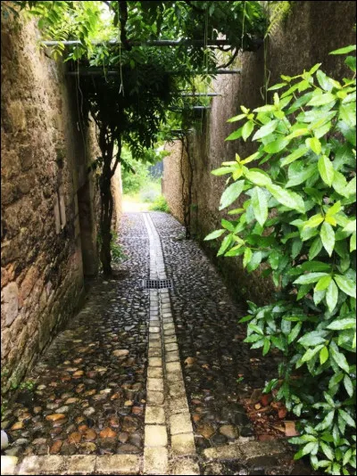 Bastide, bastide... vous n'avez que ce mot à la touche ! Mais qu'est-ce donc enfin, une "bastide" en Périgord et dans le sud-ouest en général ?