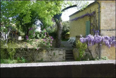 Chaque nouvel habitant reçoit un "ayrial", un "casal" ainsi qu'un ou plusieurs "pradals" : de quoi s'agit-il ?