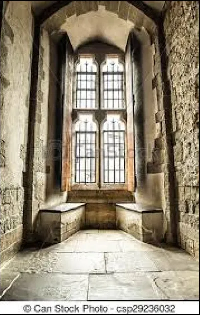 Comment aimez-vous les fenêtres sur un château ?