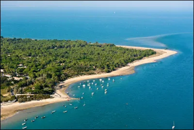 Nous allons maintenant tout près pour nous arrêter à l'île de Ré ! Située en Charente-Maritime, elle ravira les amoureux de la bicyclette du fait de son relief plat ! En plus de ses forêts, plages, marais salants, c'est l'endroit idéal pour se reposer. L'île de Ré est la _________ plus grande île de France par superficie.
Indice : au même titre que Bornéo est la ________ plus grande île du monde.