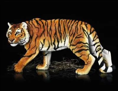 Quelle organisation est le concurrent des BRIC ?