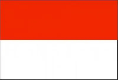 Quelles pays sont les plus grands consommateurs d'eau ?