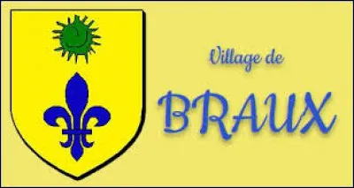 Commune provençale, dans l'arrondissement de Castellane, Braux se situe dans le département ...