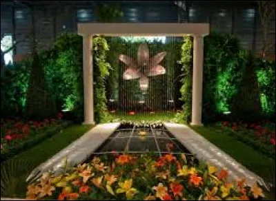 Pour les passionnés de fleurs et de création, nous voici :