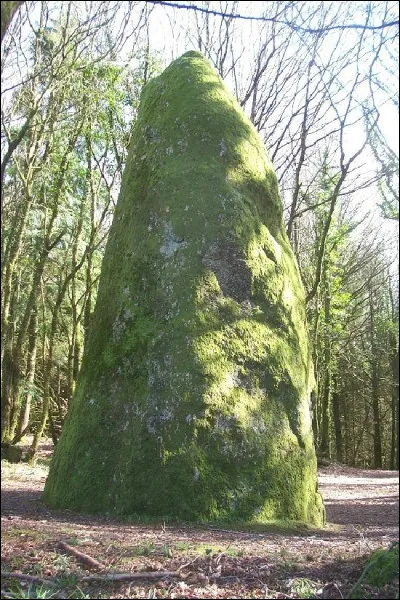 Vous trouverez aussi à deux pas, l'un des plus gros menhir de Bretagne. Vous me direz que ce n'est qu'un bout de pierre, mais il mesure tout de même ...