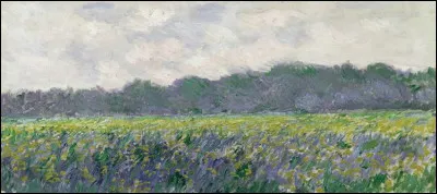 Cochez l'intitulé de cette toile !