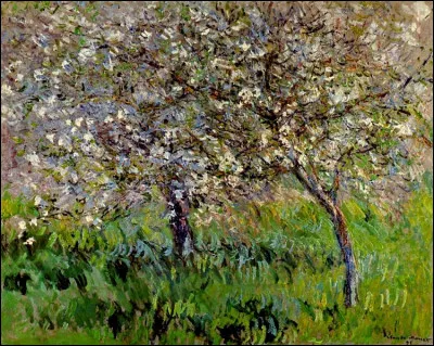 À l'aide de la toile, trouvez la réponse !