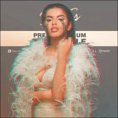 L'album Nos ViES est certifié...