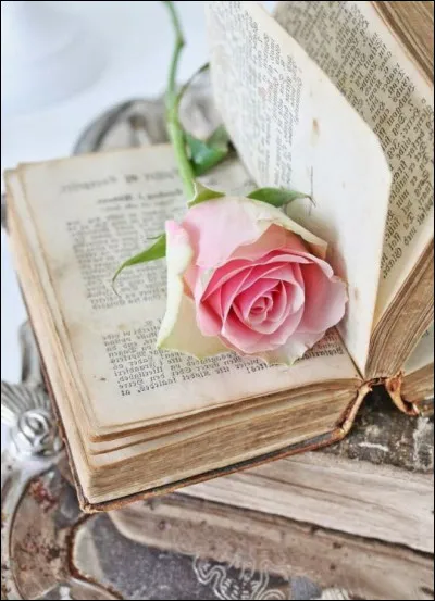 Mon 1er nettoie
Mon 2e est plus difficile que la critique
Mon tout a été écrit par :