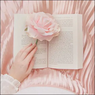 Mon 1er est moche
Mon 2e a rendu une soupe célèbre
Mon 3e est printemps ou balai
Mon tout est un roman de :