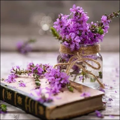 Mon 1er est ici
Mon 2e est dans le bas du dos
Mon 3e est au milieu de mon 2e
Mon tout est un roman de :