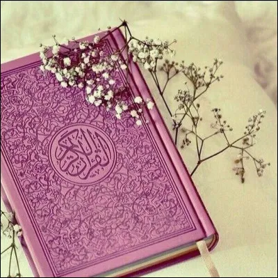 Mon 1er est de Lyon ou du Nord
Mon 2e avait Grenoble pour capitale
Mon 3e assassina
Mon tout est un roman de :