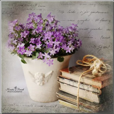 Mon 1er est une chaîne montagneuse d'Amérique
Mon 2e est signe de digestion
Mon 3e est un proxénète populaire
Mon tout a été écrit par :