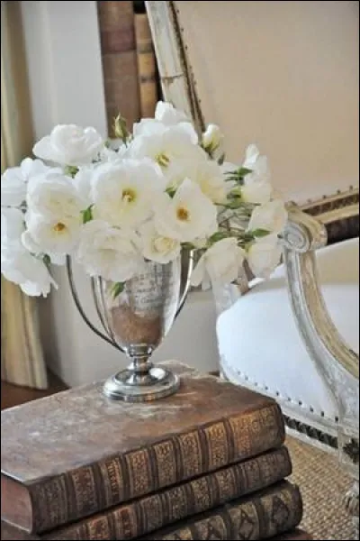 Mon 1er est un vieux loup
Mon 2e est une couleur obtenue par un mélange de violet et de blanc
mon 3e déteste
Mon 4e est un oiseau
mon 5e n'avoue pas
Mon tout a été écrit par :