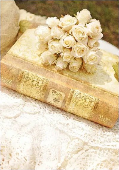 Mon 1er est entouré d'eau 
Mon 2e est élimions
Mon 3e est papa
Mon 4e doit être restitué
Mon tout est un roman de :