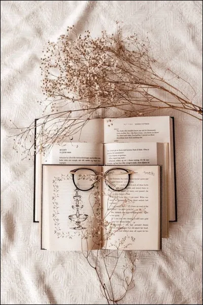 Mon 1er est un instrument à vent
Mon 2e est parfois de Moscou, ou de lynx
Mon 3e sépare deux terrains
Mon 4e est un champ
Mon 5e est à l'issue de son procès
Mon tout est un roman de :