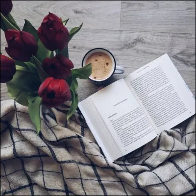 Mon 1er est le personnage de Geluck
Mon 2e n'est pas tard
Mon 3e a écrit "La Brute" et "L'Impure"
Mon 4e peut être bolognaise
Mon tout est un roman de :