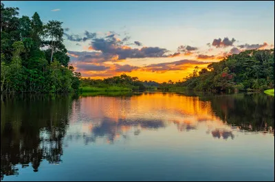 Continuons notre voyage dès à présent avec la Guyane ! Deuxième plus grand territoire d'outre-mer français, sa capitale est Cayenne. La Guyane se situe au nord-est de l'Amérique du Sud. Parmi ces pays, lequel est frontalier avec ce territoire ?
Indice : sa capitale est Paramaribo.