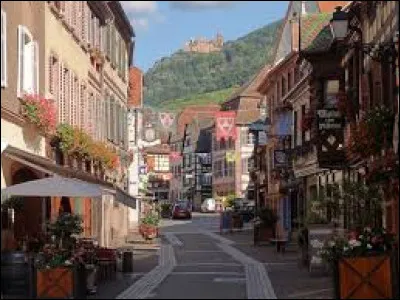 Quelle est la particularité du marché de Noël de Ribeauvillé, dans le Haut-Rhin ?