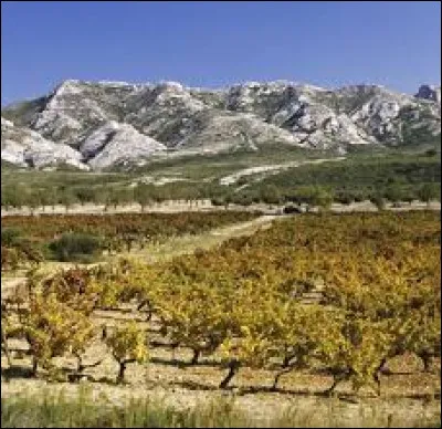 Comment se nomme ce petit massif au nord-ouest des Bouches-du-Rhône et dans lequel nous trouvons par exemple les villes des Baux-de-Provence, Fontvieille ou Tarascon ?