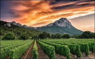 Où se trouve le pic Saint-Loup ?