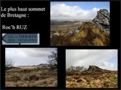 À quelle altitude culmine le Roc'h Ruiz, en Bretagne ?