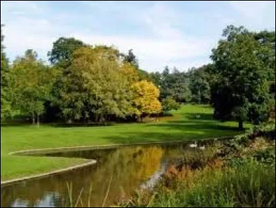 On peut voir l'un des plus vieux tulipiers de Virginie.