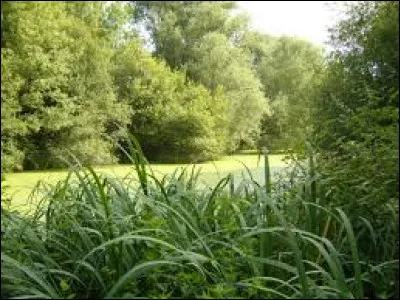 Le site est interdit au public mais des visites guidées sont organisées par la Ligue pour la protection des oiseaux.