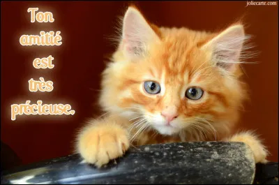 Votre relation avec les autres se traduit :