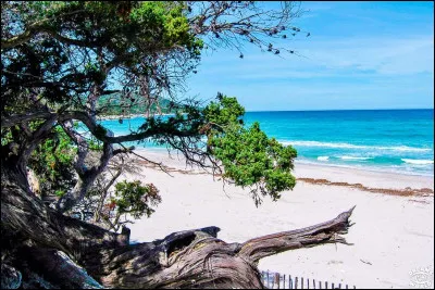 Polynésie française - Repartons pour la Corse afin d'aller faire un tour du côté du désert des Agriates. Cette aire protégée de France possède un climat (très) chaud et sans beaucoup de précipitations, donc on peut assimiler au climat...
Indice : Sahel et centre de l'Espagne.