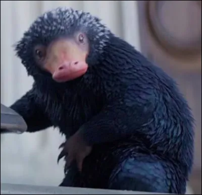 Quel est ton métier ?