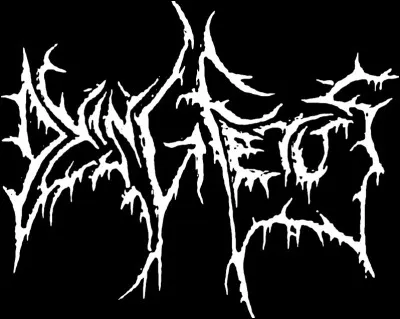 Dans quelle branche du death metal se situe Dying Fetus ?