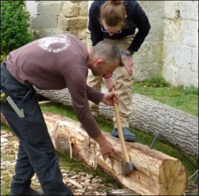 Ici, nous assistons à l'équarissage d'un tronc de chêne brut pour...
