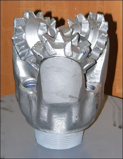 En Extrême-Orient, quel nom est donné aux grosses holothuries comestibles, qui seraient, paraît-il, aphrodisiaques ?