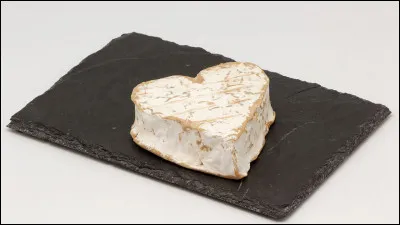 Que collectionne un chalunopantaxophile ?