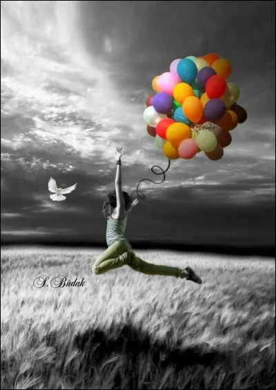 De qui sont les paroles de la chanson "Me laisse pas là, emmène-moi, envole-moi" ?