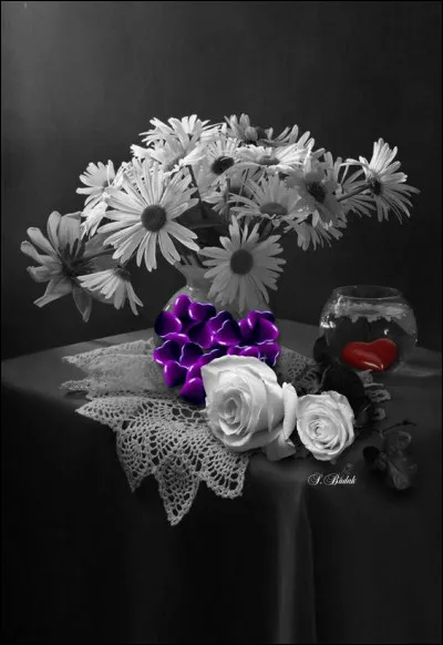 Et on termine avec les paroles d'une chanson connue ! "Raisonnable et nouveau, c'est ainsi par ici que les choses ont changé, que les fleurs ont fané". Qui est l'interprète ?