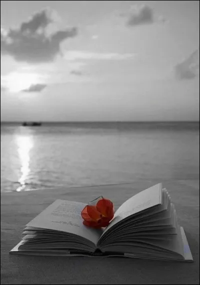 Qui est l'auteur du livre "Au-revoir là-haut" ?