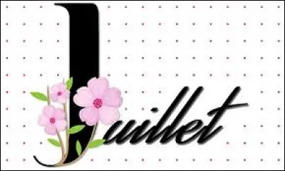 Que doit-on porter obligatoirement dans les lieux publics clos en juillet 2020 en France ?