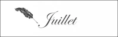 Dans quelle ville s'est déroulé l'attentat du 14 juillet 2016 ?