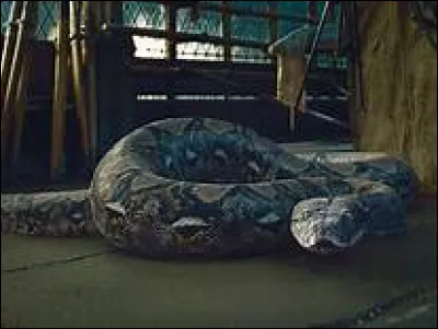 Enfin, combien de fois Nagini mord-elle Severus Rogue avant sa mort ?