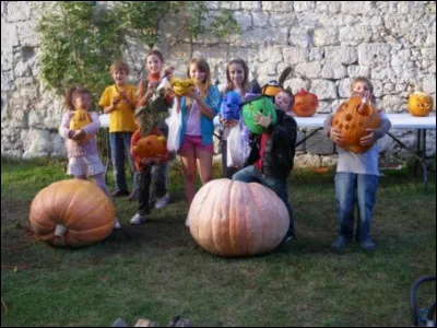 Une de mes saisons préférée ici - tant pour éviter les hordes burgondes, parisii et autres nordiques qu'un soleil plus que brillant - reste le mois d'octobre pour assister ...