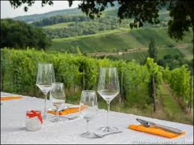 Quelle ville est surnommée "la capitale des vins d'Alsace" ?