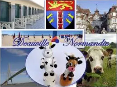 Beaucoup de Parisiens passent leurs vacances à Deauville, dans le Calvados. Cela lui vaut d'être surnommée ...