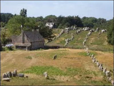 Combien trouve-t-on de menhirs à Carnac, station balnéaire du Morbihan ?